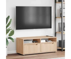 TV staliukas televizoriaus spintelė VISNES Sonoma ąžuolas 100x40x38 cm