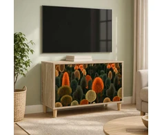 TV staliukas Televizoriaus spintelė ZAANDAM 69 x 33 x 50 cm Sonoma ąžuolo