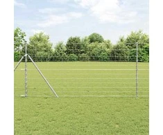 Tvorelės stulpas Cinkuotas 50 x 1,2 m Plienas