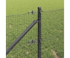 Suvirintas vielinis tvoras su smailiais galais Plienas ir PVC