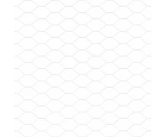 Hexagonal Fence with Post 100 x 0,8 m Sidabrinė Tinklelis