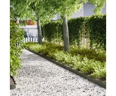 Vejo kraštas 50 pcs Alyvuogių žalia 100 x 0,05 x 15 cm
