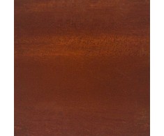 Vejo kraštas 450 x 15 cm Atmosferos poveikiui atsparus plienas