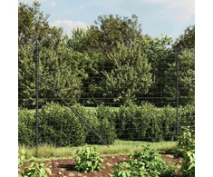 Vielinė tinklinė tvora, antracito, 2,2x25m, plienas