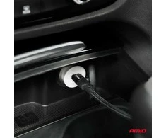 Automobilinis įkroviklis 20W 12/24V AMiO-03876