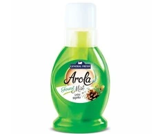Oro gaiviklis Arola Forest Mist 300ml