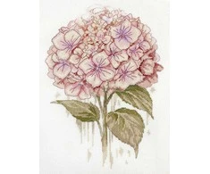 Abris Art Siuvinėjimo rinkinys kryželiu „Trapi gėlė“ 19x27 cm AAH-309