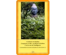 Agm Osho Decouvrez Bouddha French Edition Kortos