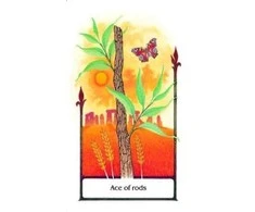 AGM Tarot Of The Old Path Kortos