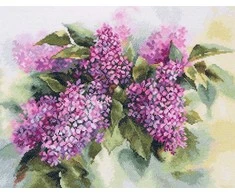 Alisa Beldizart Akvarelės Sylas S2-45