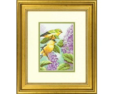 DIMENSIONS Groves Of Thame Goldfinch ir alyvos D70-65153