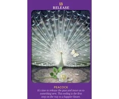 Hay House Animal Guides Tarot Kortos