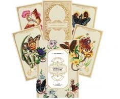 Blue Angel Mėlyna Angel Mėlyna Angel Enchanted Blossoms Oracle Kortos