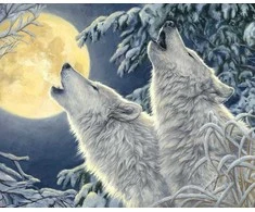 Hobilt 2 Wolves Deimantinio Paveikslo komplektas CS2565