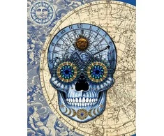 Hobilt Astrology Skull Deimantinio Paveikslo komplektas CS2573