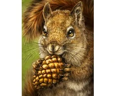 Hobilt Squirrel Totem Deimantinio Paveikslo komplektas CS2567