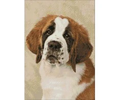 Hobilt St. Bernard pup 30х40 Deimantinio Paveikslo komplektas Cs2416