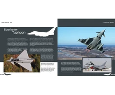 Duke Hawkins Eurofighter Typhoon naikintuvas: iliustruotas gidas aviacijos gerbėjams