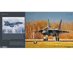 Duke Hawkins MiG-31 Foxhound knyga – detalus aviacinis foto gidas