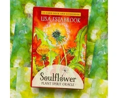 Findhorn Press Soulflower Plant Spirit Oracle Kortos
