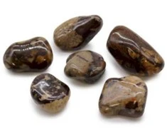 Ancient Wisdom Jasper Nguni (6 Vnt. L Dydžio)
