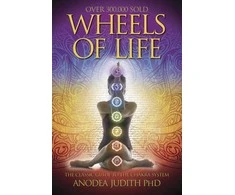 Wheels Of Life Knyga Llewellyn