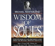 Wisdom Of Souls Knyga Llewellyn
