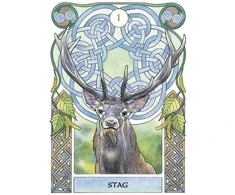Lo Scarabeo Celtic Astrology Oracle Kortos