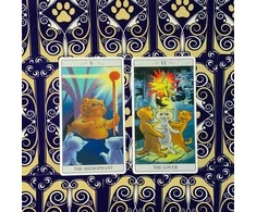 Lo Scarabeo The Way Jodorowsky Explained Tarott To His Cat Kortos