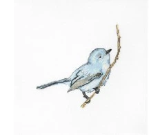 luca S Bluebird SB1158