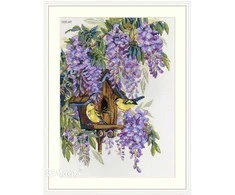 Merejka Wisteria SK137