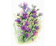 MP Studia Beldizart Gaivumo Serenada SA-035