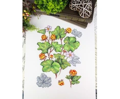 MP Studia Kryželiu siuvinėjimo rinkinys „Šiaurinė uoga“ 28x19 cm, 16 ct