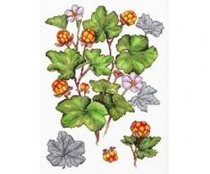 MP Studia Kryželiu siuvinėjimo rinkinys „Šiaurinė uoga“ 28x19 cm, 16 ct