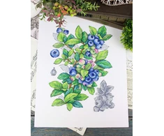 MP Studia Mėlynių kryželių siuvinėjimo rinkinys, 28x20 cm, 31 spalva