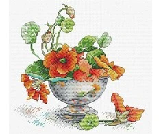 MP Studia Beldizart Nasturtium SM-610