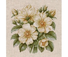 Oven Kryželiu siuvinėjimo rinkinys „Laukiniai erškėtuogiai“ 23×23 cm