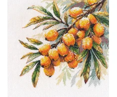 Oven Kryželiu siuvinėjimo rinkinys Šaltalankių šakelė 17×17 cm, 16 ct drobė, 26 spalvos