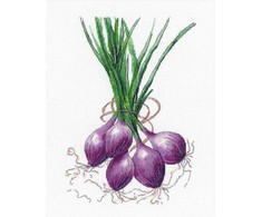 Kryželiu siuvinėjimo rinkinys Oven Onion – pradedantiesiems