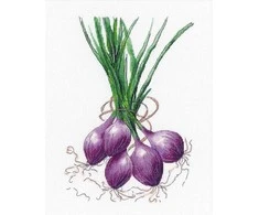 Kryželiu siuvinėjimo rinkinys Oven Onion – pradedantiesiems