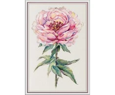 Panna Klart Kryželių siuvinėjimo rinkinys „Bijūnas“ 25,5×38,5 cm – elegancija namams
