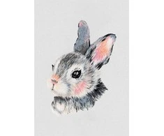 Panna Klart Siuvinėjimo kryželiu rinkinys „Mažas zuikis“ 8×6 cm pradedantiesiems