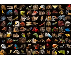 Ravensburger 1000 Puzzle Dėlionė: Stunning Animals