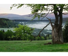 Ravensburger 1000 Puzzle Dėlionė: Sumava