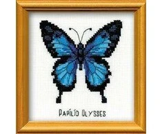 Riolis Ulysses Butterfly HB095