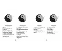 Schiffer Publishing EZ2 Feng Shui Kortos