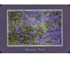 Schiffer Publishing Gaia’s Vision Oracle Kortos