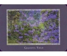 Schiffer Publishing Gaia’s Vision Oracle Kortos