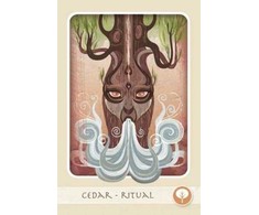 Schiffer Herbal Deck Tarot Kortos