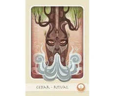 Schiffer Herbal Deck Tarot Kortos